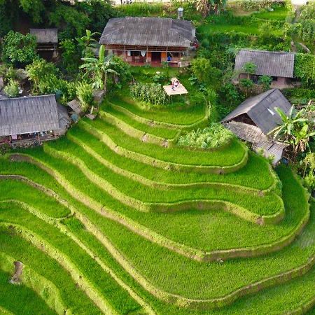 My'S Homestay Sapa Dış mekan fotoğraf