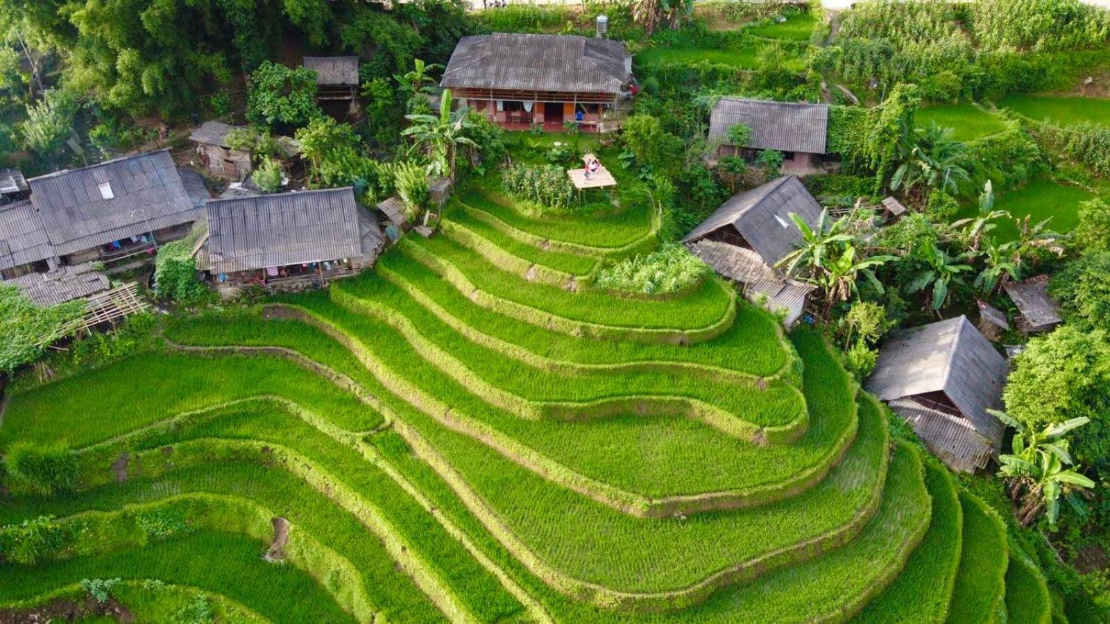 My'S Homestay Sapa Dış mekan fotoğraf