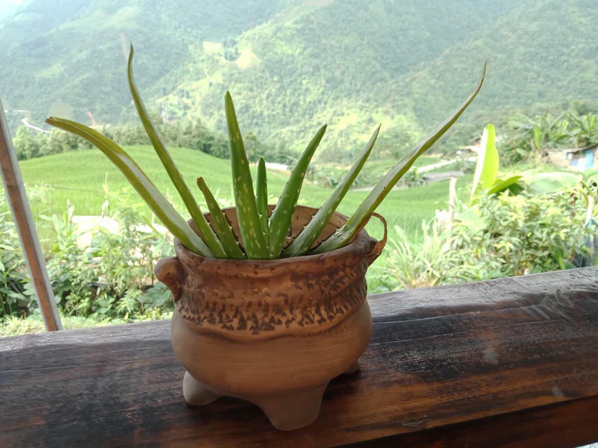 My'S Homestay Sapa Dış mekan fotoğraf
